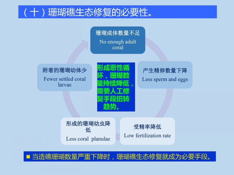 生态修复的方法最新内容