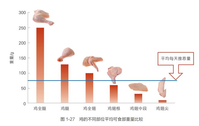 维生素与矿物质类制剂技术革新与最新发展趋势概览