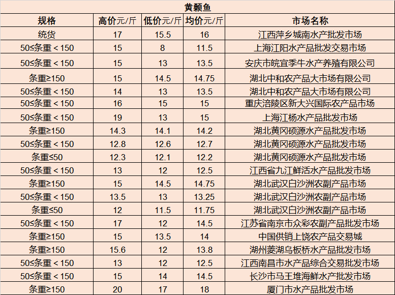 放大器最新走势，技术革新与市场发展