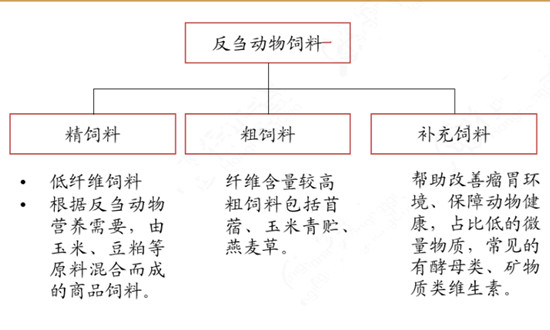 奶牛配合饲料最新动态与深度分析