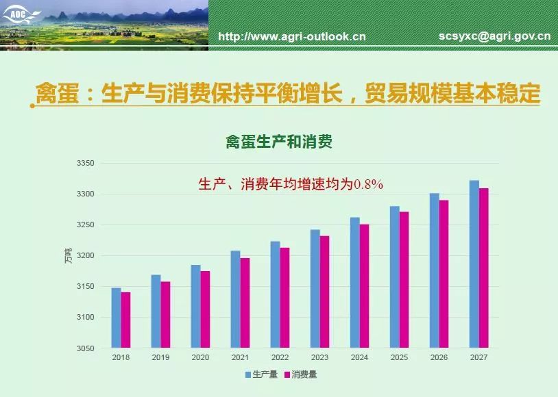 客梯最新发布与未来探寻