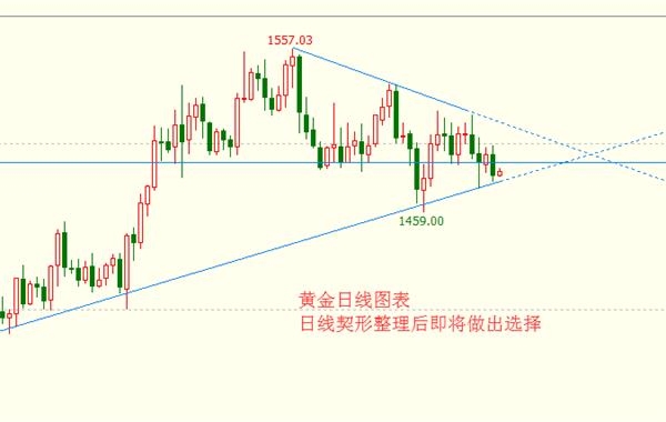 带齿螺母最新信息与市场全览