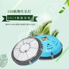 LED植物生长灯最新内容