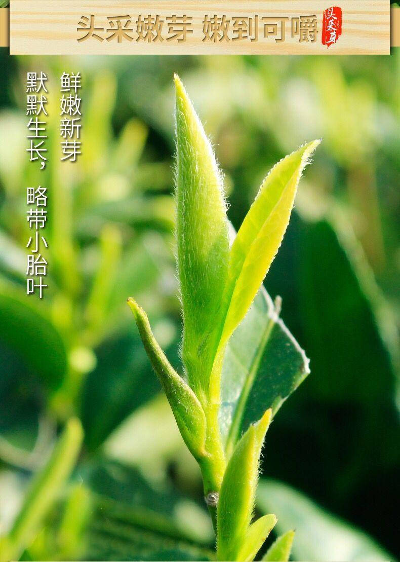 白牡丹茶最新发展动态