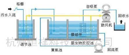 膜及膜组件最新内容与特色概览