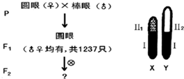 跷跷板原理相同的有哪些