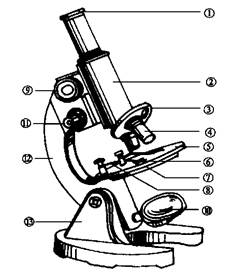 显微镜的镜头分几种如何进行区分