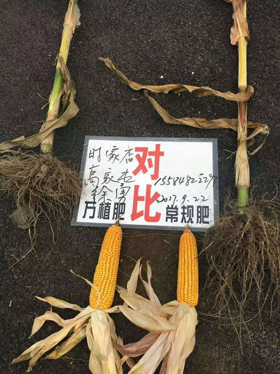 生物农药与肥料