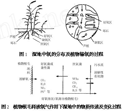 天然树脂缺点