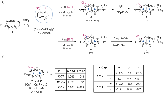 杂环化合物举例