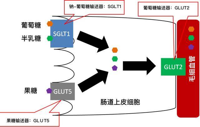 vcd制作系统与碳水化合物结合模块怎么做