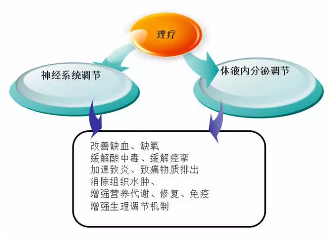 康复工程技术产品的基本作用有哪些?